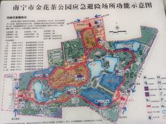 -金花茶公园
