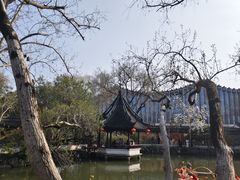 -上海醉白池公园