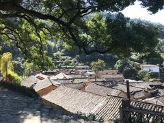 -杨家堂村