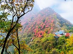 -秦岭终南山世界地质公园翠华山景区