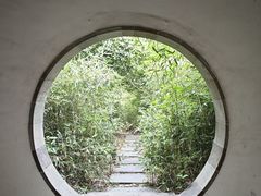 -八大山人梅湖景区