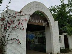 -金谷域澳洲庄园