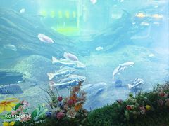 -华夏文旅西安度假区