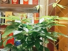 -小八仙·宴(三峡茶庄店)