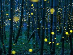 -外滩九号KTV(东外滩商业广场店)