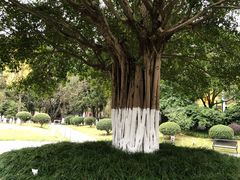 -龙头寺公园