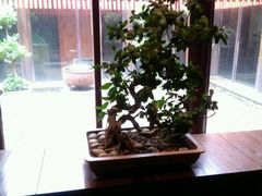-粗茶淡饭·隐庐私厨(东亭店)