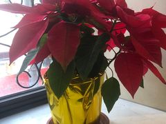 -红房子西菜馆(淮海中路店)
