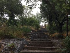 -水池山公园