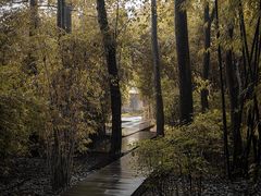 -鹿野苑石刻艺术博物馆