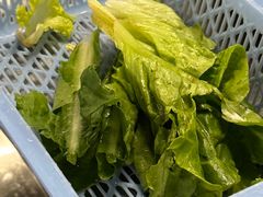 -百利鸽王(紫薇路店)