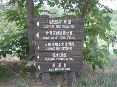 -北京麋鹿生态实验中心
