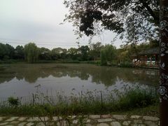 -鹅湖玫瑰文化园
