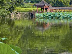 -龙头寺公园