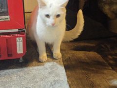 -耳域躺式采耳SPA馆(新街口店)