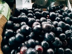 -红星农博物流中心