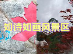 -广州市帽峰山景区
