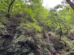 -本溪汤沟绿石谷森林公园