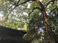 -杭州黄龙洞