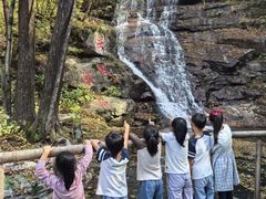 -庆岭迎宾园正宗活鱼馆