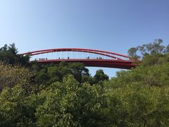 -金鸡山公园