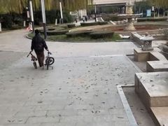 -曲江春晓苑