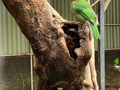 -费瑟代尔野生动物园