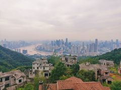 -南山植物园