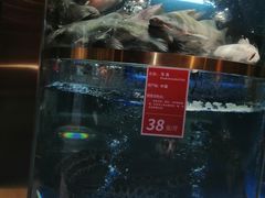 -蜀滋香鲜鱼美蛙火锅(339店)