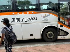 -黑瞎子岛探秘野熊园