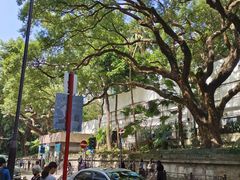 -香港国际机场-T2航站楼