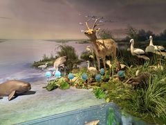 -湖南省地质博物馆