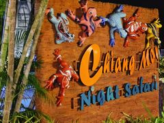 -清迈夜间动物园