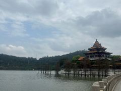 -顺峰山公园