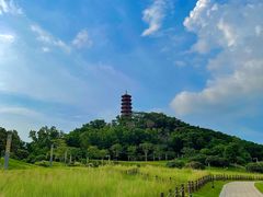 -红花山公园