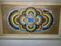 -上海昆虫博物馆