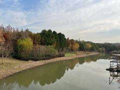 -上海长兴岛郊野公园