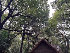 -蜀冈西峰生态公园