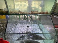 -海之鲜大排档(东山海鲜金銮湾店)
