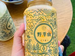 -野萃山·潮汕厚果汁(十亩地店)