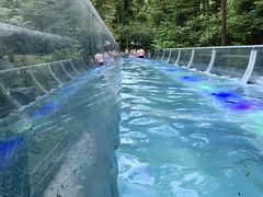 -花水湾第一村温泉大酒店