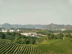 -帐篷客·溪龙茶谷度假酒店