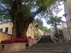 -龙环葡韵住宅式博物馆