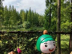 -黄海国家森林公园