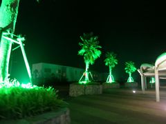 -碧海金沙