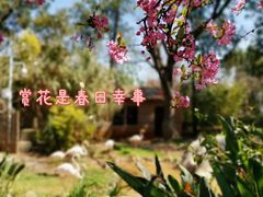 -昆明动物园