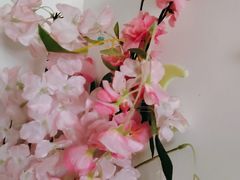 -董立兵烤鸭店(明湖店)