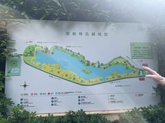 -华侨城湿地公园