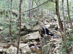 -姑婆山旅游区