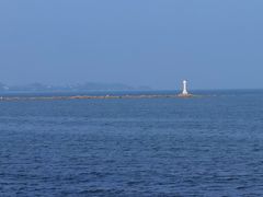 -野狸岛